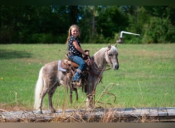 Meer ponys/kleine paarden, Ruin, 10 Jaar, 97 cm