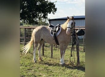 Meer ponys/kleine paarden, Merrie, 3 Jaar, 132 cm, Roan-Red