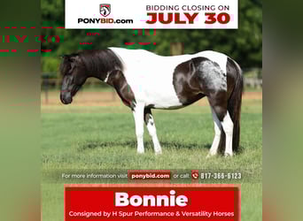 Meer ponys/kleine paarden, Merrie, 6 Jaar, 112 cm