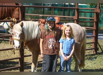 Meer ponys/kleine paarden, Merrie, 8 Jaar, 119 cm, Roan-Red
