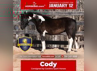 Meer ponys/kleine paarden, Ruin, 10 Jaar, 112 cm