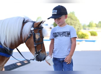 Meer ponys/kleine paarden, Ruin, 10 Jaar, 94 cm, Roodvos