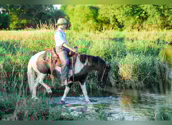 Meer ponys/kleine paarden, Ruin, 4 Jaar, 122 cm