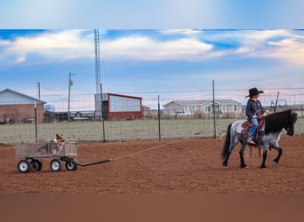 Meer ponys/kleine paarden, Ruin, 7 Jaar, 107 cm, Roan-Blue