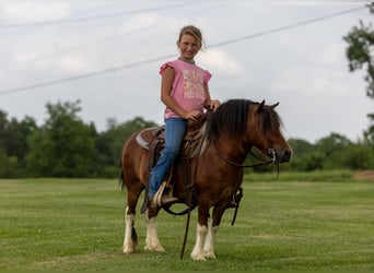 Meer ponys/kleine paarden, Ruin, 7 Jaar, 94 cm