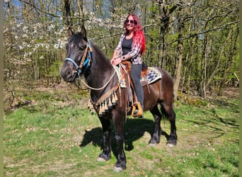 Mérens Croisé, Hongre, 4 Ans, 155 cm, Noir