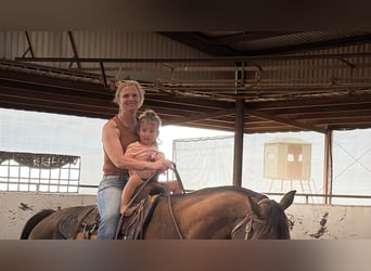 Missouri Foxtrotter, Ruin, 4 Jaar