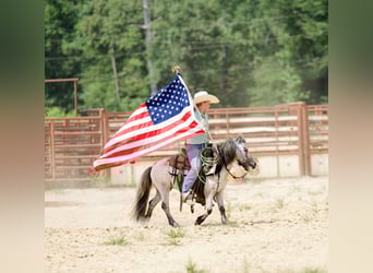 More ponies/small horses, Gelding, 12 years, 9 hh, Roan-Blue