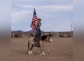 More ponies/small horses, Gelding, 4 years, 10,1 hh, Buckskin