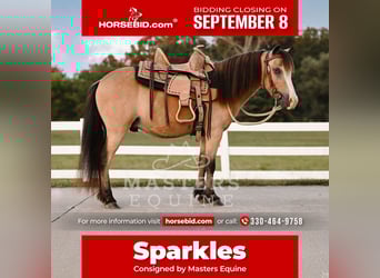 More ponies/small horses, Gelding, 5 years, 9,1 hh, Buckskin