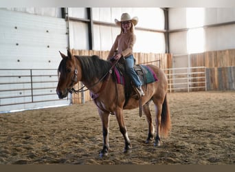 More ponies/small horses, Gelding, 9 years, 12,3 hh, Dun