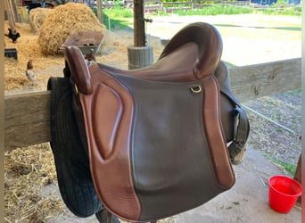 Murgese, Castrone, 10 Anni, 158 cm, Morello
