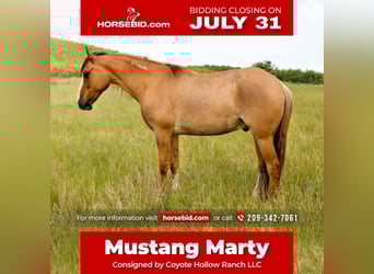Mustang (americano), Castrone, 8 Anni, 140 cm, Red dun