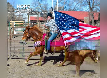 Mustang (amerikanisch), Stute, 6 Jahre, 142 cm, Rotfuchs