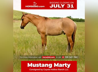 Mustang, Hongre, 8 Ans, 140 cm, Alezan dun