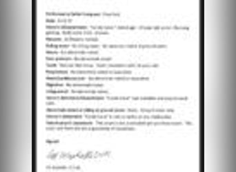 Mustang, Wałach, 15 lat, 152 cm, Cisawa