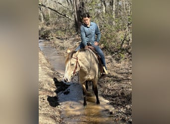 Mustang, Yegua, 6 años, 148 cm, Buckskin/Bayo