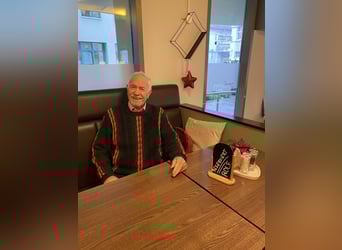 Niemiecki kuc wierzchowy, Ogier, 1 Rok, 148 cm, Jelenia