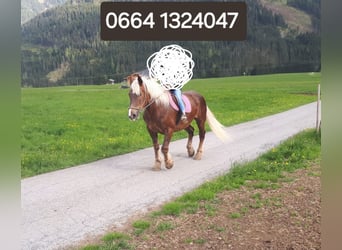 Noriker, Stute, 18 Jahre, 165 cm, Fuchs