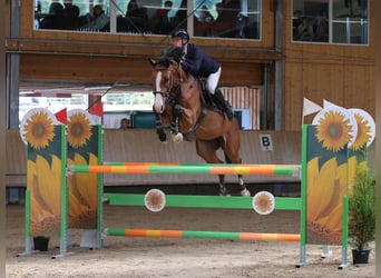 NRPS, Ruin, 7 Jaar, Bruin