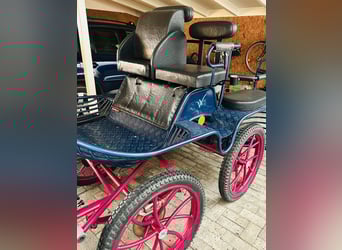 Kutsche Marathonwagen gebraucht