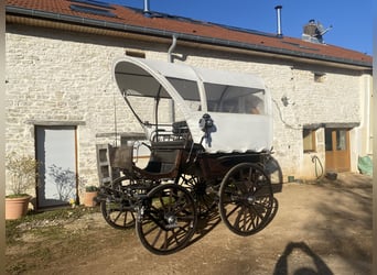 Sehr schöne Kutsche im Stil von einem Planwagen zu verkaufen / calèche