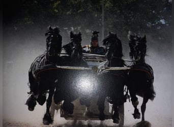 Historischen Kampfwagen
