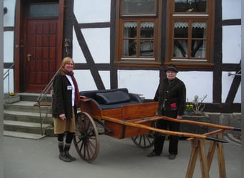 Historyczny wóz konny typu pony