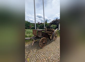Jagdwagen