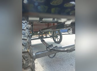 Marathon Carriage Available – Vprege Repnik