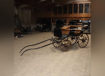 Ungarischer Jagdwagen Pirschwagen Einspänner Leicht Kunstleder