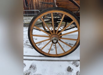 Samodzielny kierowca, 1- do 4-osobowy zaprzęg