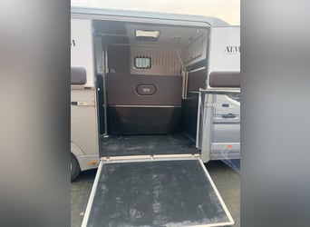 Renault Master Haras ATM na 1-2 konie, 150 KM
