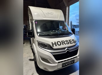 Citroën Jumper Pferdetransporter | nur 4.000 km | BJ 10/2021 | keine NOVA | 3,5 t | 120 kW | Euro 6!