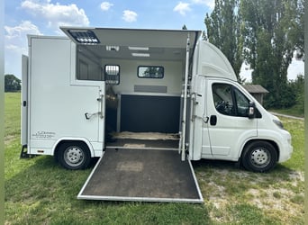 Citroën Jumper Pferdetransporter | nur 4.000 km | BJ 10/2021 | keine NOVA | 3,5 t | 120 kW | Euro 6!