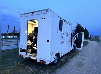 Citroën Jumper Pferdetransporter | nur 4.000 km | BJ 10/2021 | keine NOVA | 3,5 t | 120 kW | Euro 6!