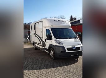 Equitrek Victory mit großem Wohn-Schlafabteil