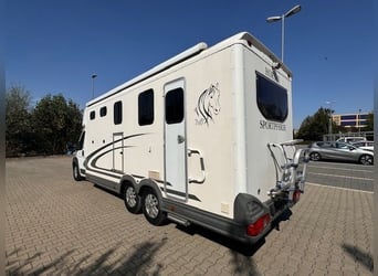 Fiat Equi Trek Pferdetransporter Wohnmobil gebraucht