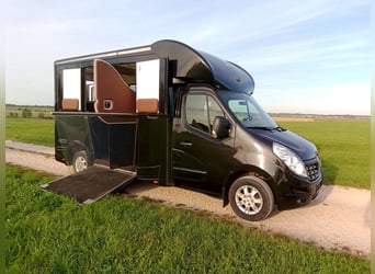 Pferdetransporter Renault Master Automatik 5 Sitzer ATM Aufbau Viehtransporter Horsebox Horsevan