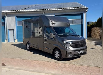 Transporter konny do przewozu koni, 5 miejsc siedzących, 3 miejsca do spania, Renault Master, automa