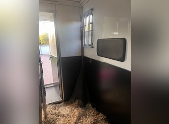 Wygodny Renault Master