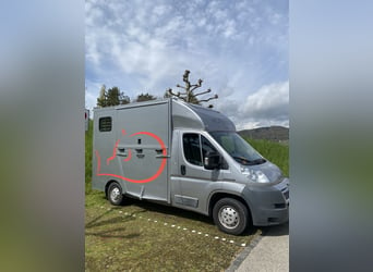 ZU VERKAUFEN: Selbstfahrer Citroen Jumper 2