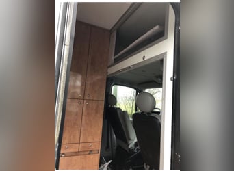 Böckmann przyczepa transportowa dla koni