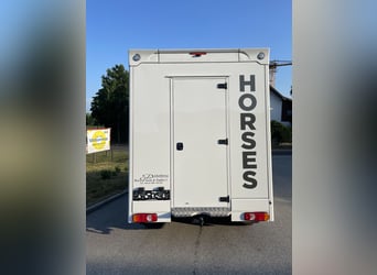 Citroen Jumper Pferdetransporter NUR 1.500 KM KEINE NOVA Fahrzeug war bereits in AUT angemeldet