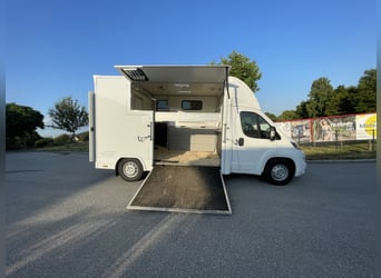 Citroen Jumper Pferdetransporter NUR 1.500 KM KEINE NOVA Fahrzeug war bereits in AUT angemeldet