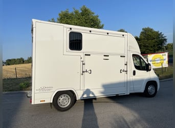 Citroen Jumper Pferdetransporter NUR 1.500 KM KEINE NOVA Fahrzeug war bereits in AUT angemeldet