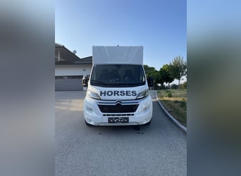 Citroen Jumper Pferdetransporter NUR 1.500 KM KEINE NOVA Fahrzeug war bereits in AUT angemeldet