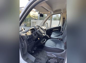 Citroen Jumper Pferdetransporter NUR 1.500 KM KEINE NOVA Fahrzeug war bereits in AUT angemeldet