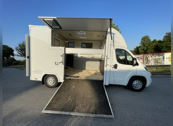 Citroen Jumper Pferdetransporter NUR 1.500 KM KEINE NOVA Fahrzeug war bereits in AUT angemeldet