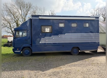 Końcówka pojazdu 814 Mercedes z homologacją H na 4 konie. Nowy przegląd techniczny.